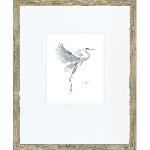 KS- GREY HERON STUDY 1